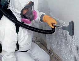 Best Commercial Mold Inspection in USA